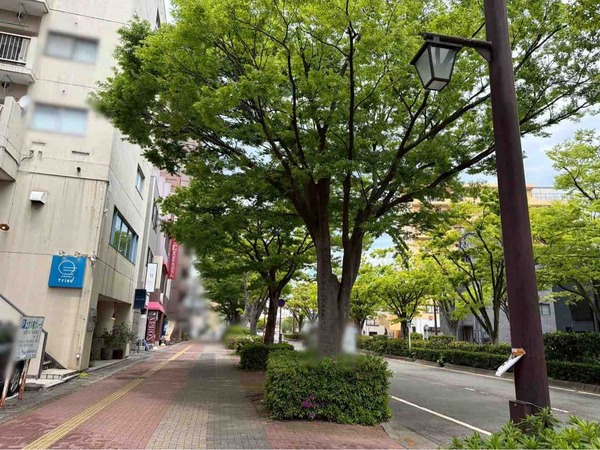 cafe & bar triad