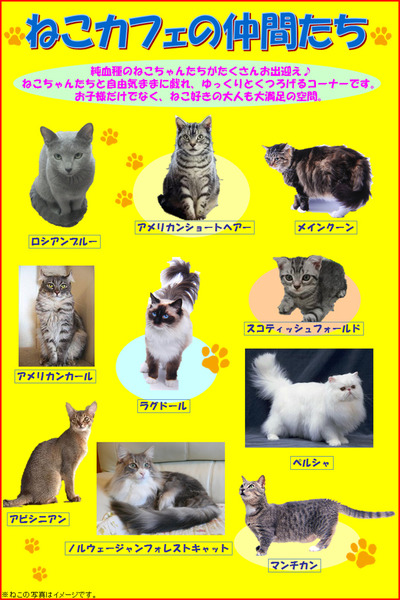 nn07
