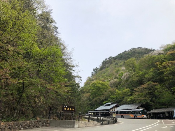 天てれ 佐渡 けえ