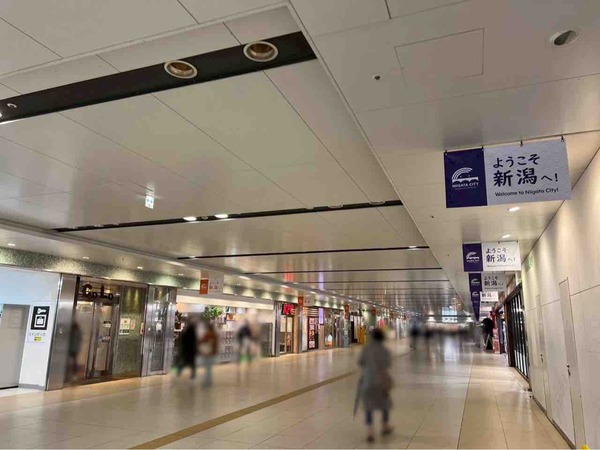 サイゼリヤ CoCoLo新潟店