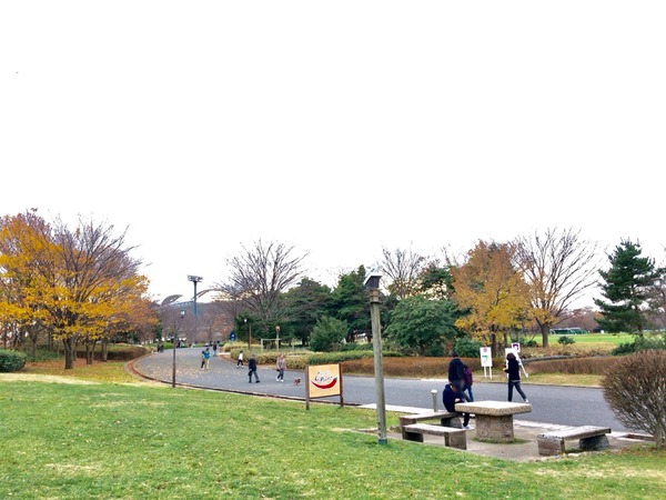 2016-12-04-22-56-09
