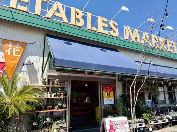 きよみオレンジ詰め放題