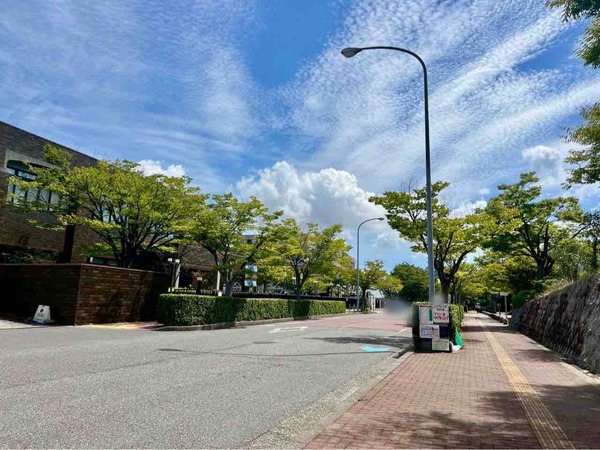TEA ROOM スープとお茶 ひとさじ喫茶室