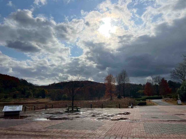 11月 新潟市 イベント