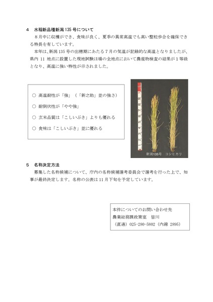 水稲新品種 新潟135号の名称候補の募集