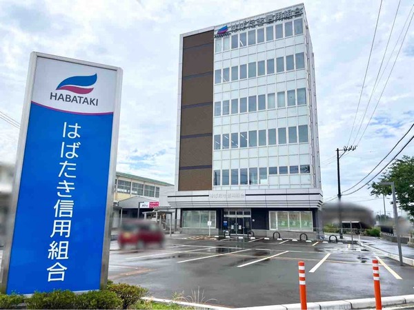 KAMEDA Cherry Blossoms