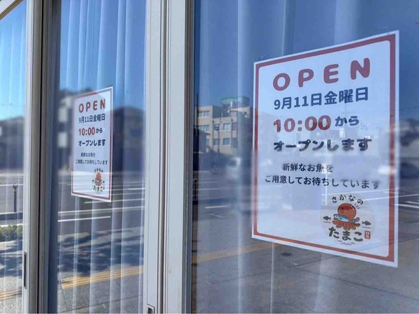 さかなのたまこ