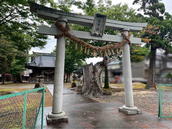 和納十五夜祭り