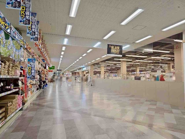 あそべぇる恐竜ランド