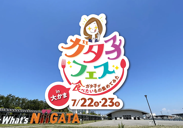 フェス