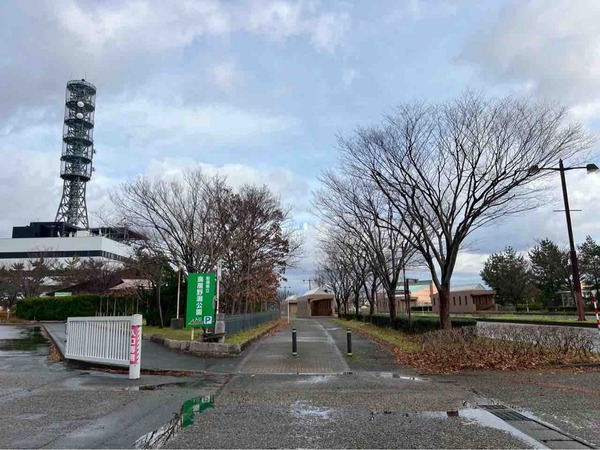 鳥屋野潟公園 Xmas market