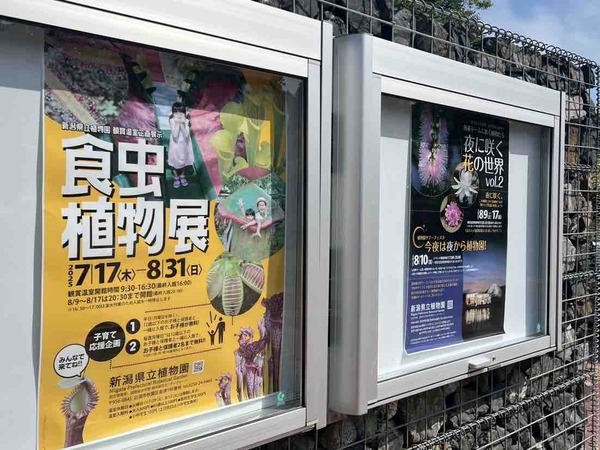 新潟県立植物園  企画展示「食虫植物展」