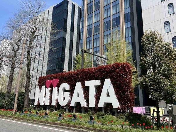 新潟県あれこれ 全国ベスト5