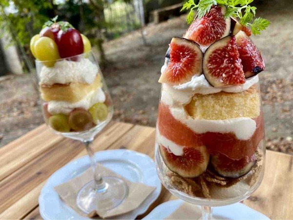 FRUITS FOREST（フルーツフォレスト）