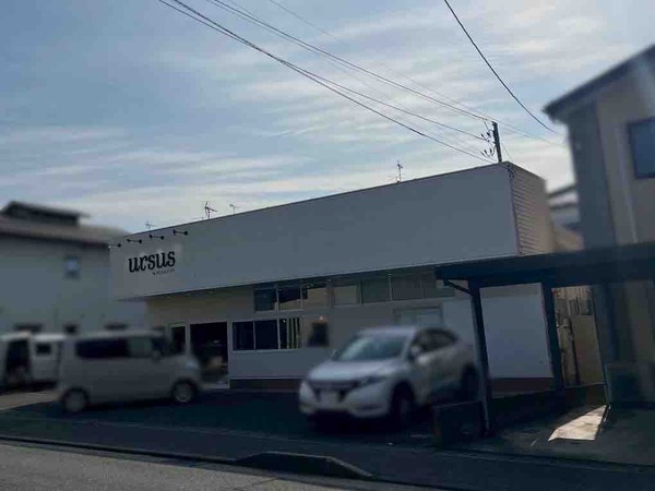 ursus by HEADLIGHT 新潟京王店