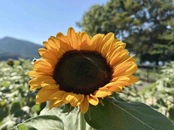上堰潟公園