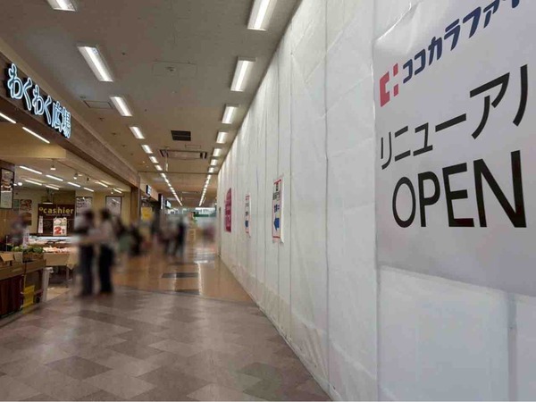 ココカラファイン アピタ亀田店