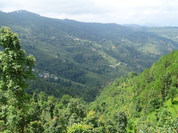 11月　にいがた速報　人気記事