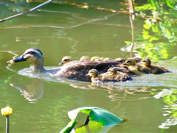 2026 前期公開講座