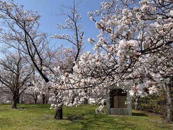 白山神社・りゅーとぴあ周辺