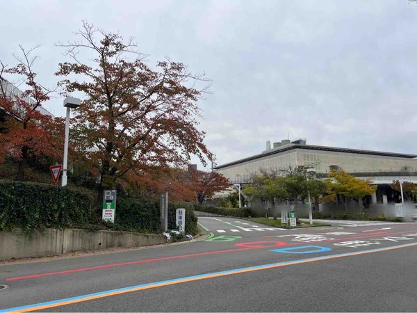 白山公園駐車場 落ち葉プレゼント