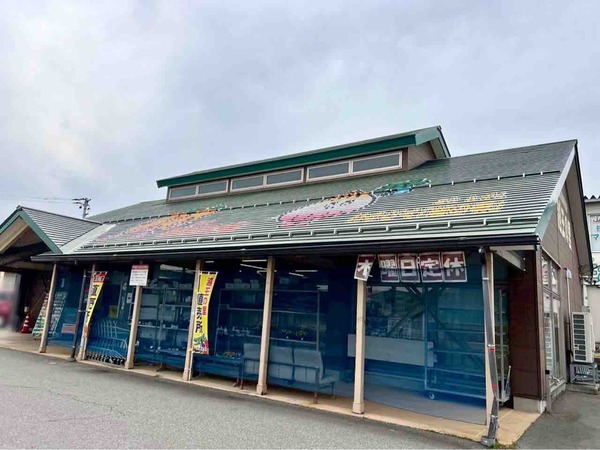 さつまいも詰め放題