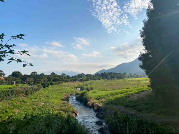 2025年8月　人気記事