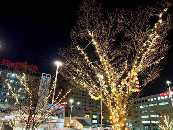 NIIGATA光のページェント