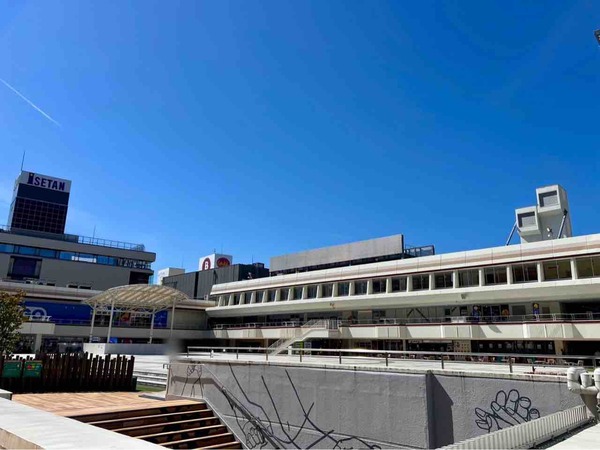 食花マルシェ2025 in 万代シテイ