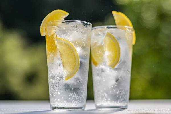 新潟レモンサワーの陣2025