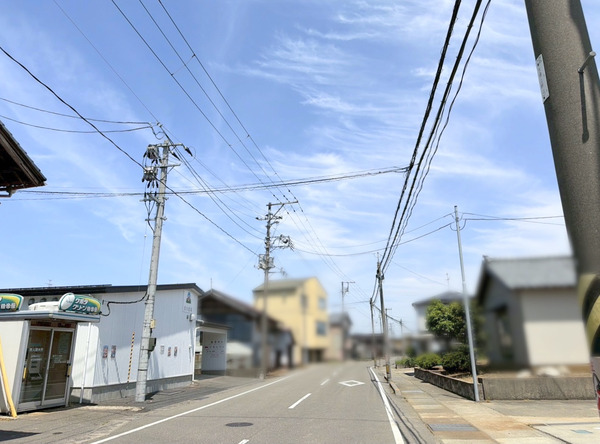 青木農場 農場直売会
