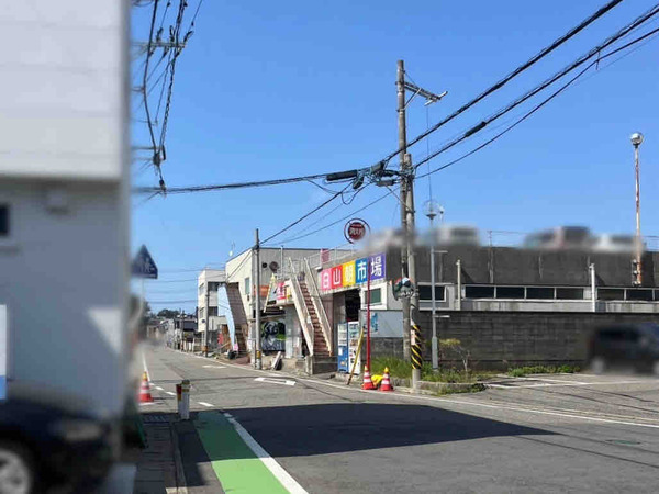 植物天国 in 白山市場