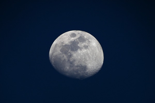 新潟県立植物園 名月夜間開園