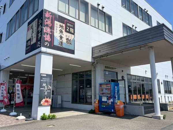 地魚工房 にいがた港市 本まぐろ 販売会