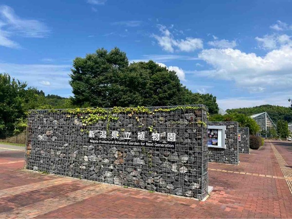新潟県立植物園  企画展示「食虫植物展」