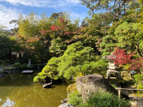 紅葉スポット2024 新潟市 旧齋藤家別邸