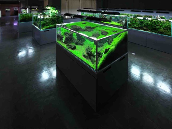 2025 後期公開講座