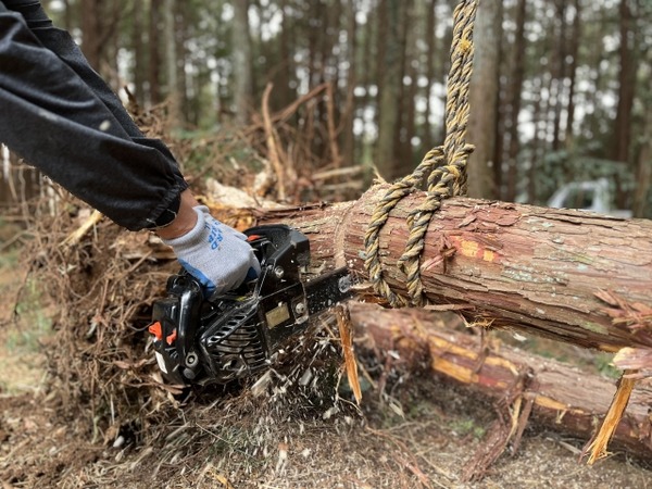 急傾斜地 伐採木 無償譲渡