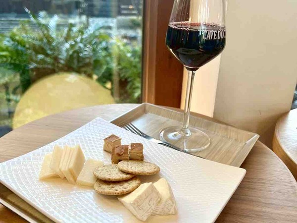 冬のワンデーパスポート