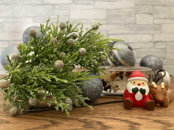 クリスマスフェスタ 2024