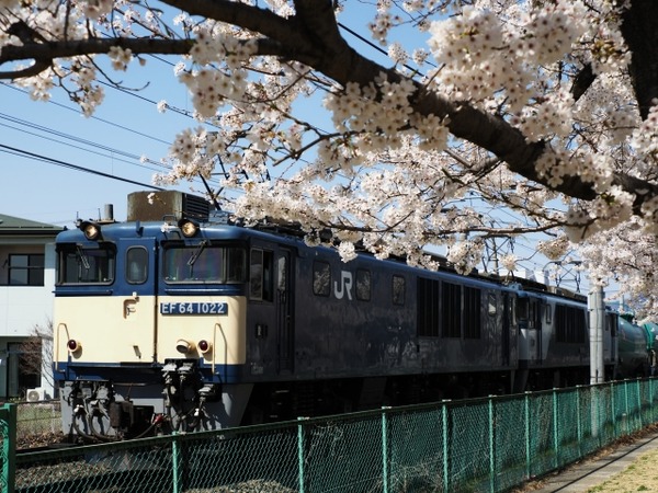 29437003_s