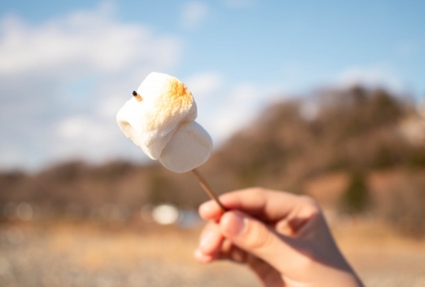 野きろの杜 フリマ