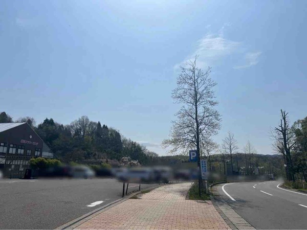 メダカ販売会&メダカすくい