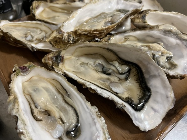 魚と漁師と遊ぼう!