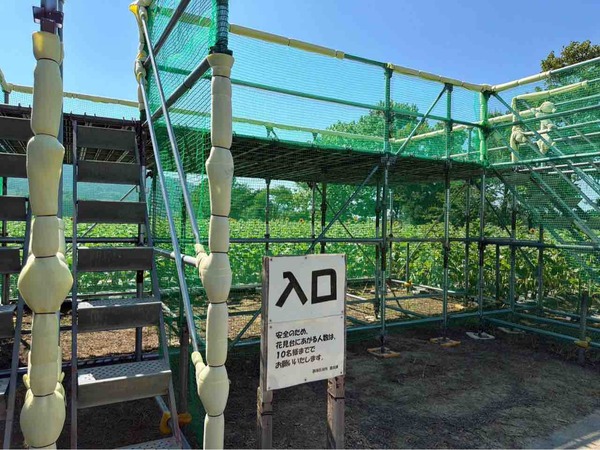 上堰潟公園