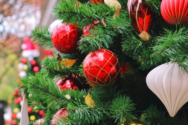 鳥屋野潟公園 Xmas market