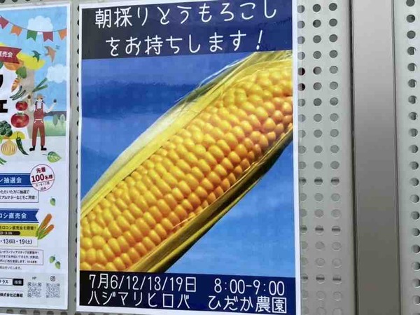 ひだか農園 朝採りとうもろこし直販会