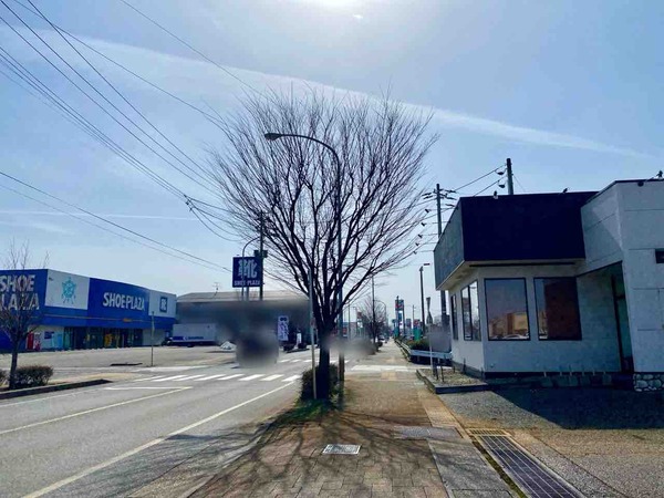 越後姫盛り放題