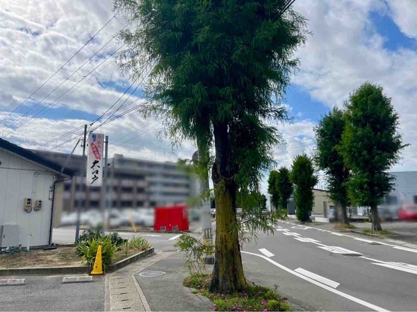 ランドローバー ジャガー