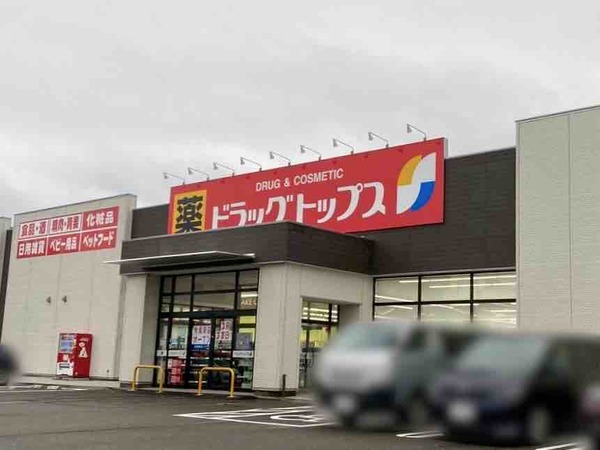 ドラッグトップス 寺尾東店